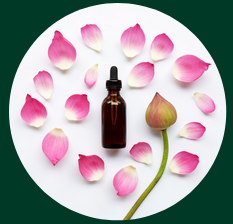 Huiles essentielles - Hydrolats - Huiles végétales